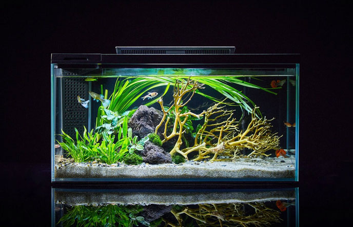 魚缸智能補水-液位傳感器-液體開關(guān)-傾倒開關(guān)廠家